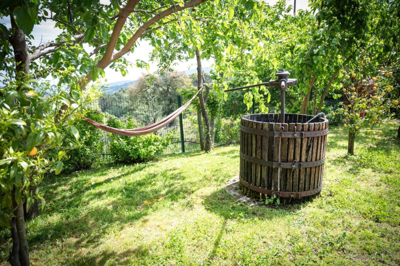 Vila Pinhawood Resende Exteriér fotografie